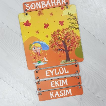 Mevsim Şeridi - 4 Mevsim