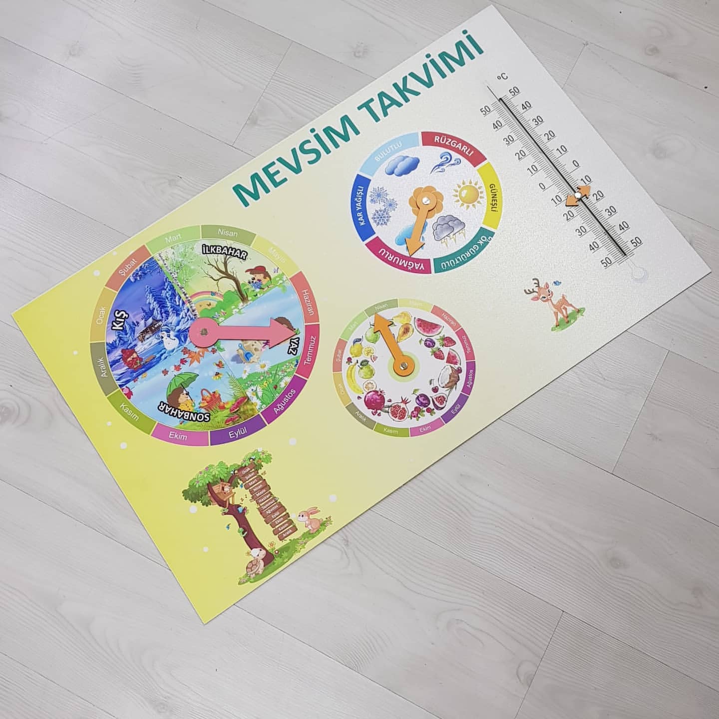lorasivas_1635951365_1 Mevsim Takvimi - Okul Panosu