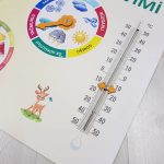 Mevsim Takvimi - Okul Panosu